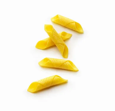Garganelli frosið pasta 3kg mynd 1