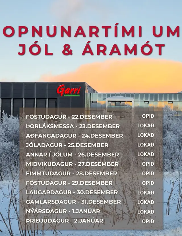 Flyer (7)