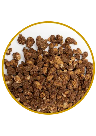Jorda Speculoos & hazelnut crunch 400g mynd 1