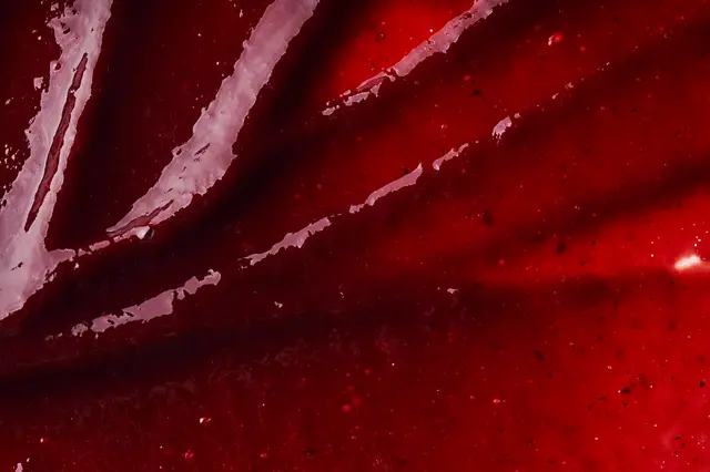 Gel de casis_GracilaGel (2)