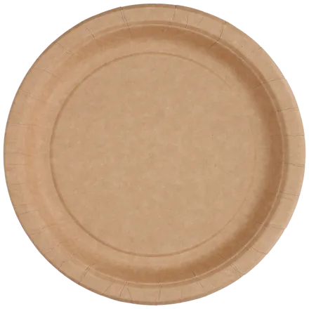 Pappadiskar brúnir 22cm 450stk mynd 1