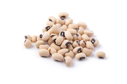 Augnbaunir secco 5kg mynd 1