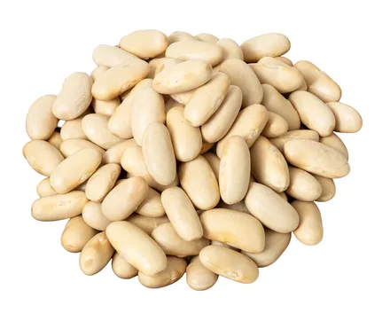Hvítar baunir Cannelini Secco 5kg mynd 1
