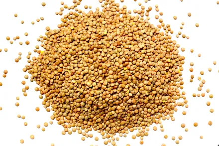 Linsubaunir brúnar Secco 25kg mynd 1