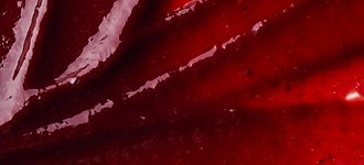 Gel de casis_GracilaGel (2)