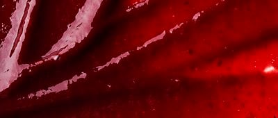 Gel de casis_GracilaGel (2)