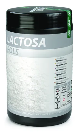 Lactose mjólkursykur 750g mynd 1
