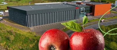 Uppstigningardagur - (fréttamynd)