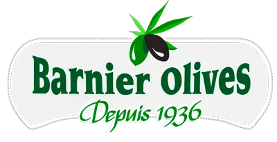 barnier logo