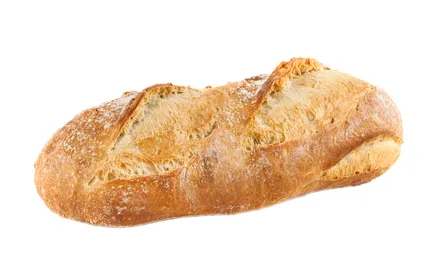 Súrdeigsbrauð Batard 14x540g mynd 1