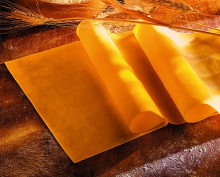 Lasagne blöð frosin gastro 48stk 4x2,5kg mynd 1