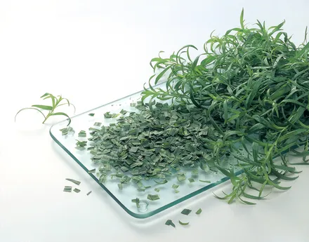 Estragon 250g mynd 1