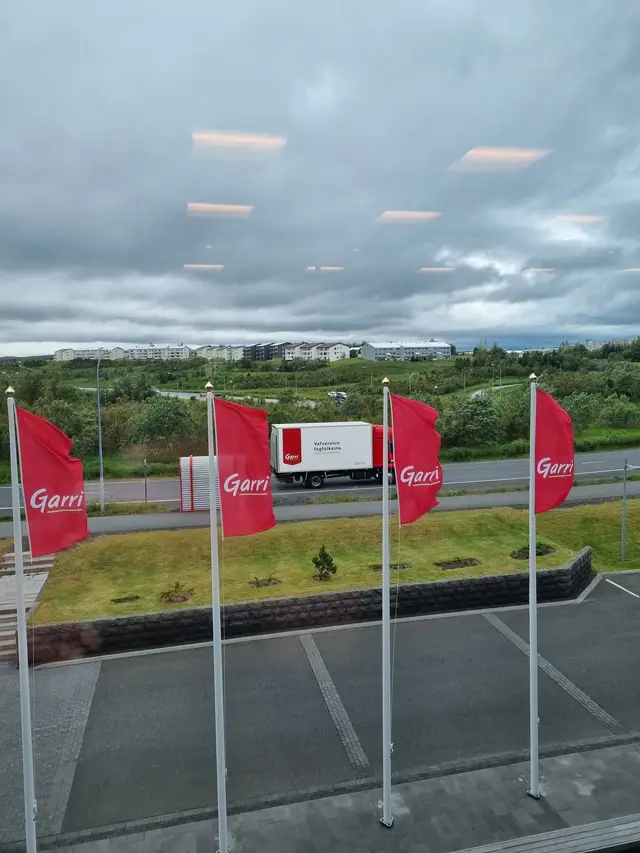 Bíll og fánar.jpg